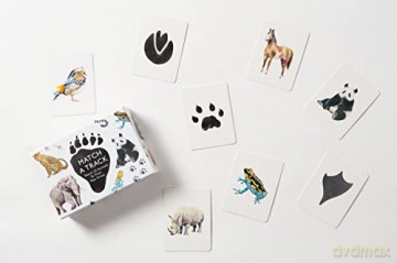 Match a Track: Match 25 Animals to Their Paw Prints (Magma for Laurence King) - Marcel George [KSIĄŻKA]