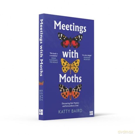 Meetings with Moths: Discovering their Mystery and Extraordinary Lives - Katty Baird [KSIĄŻKA]