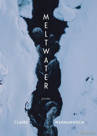 Meltwater: Poems - Claire Wahmanholm [KSIĄŻKA]