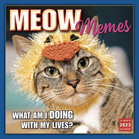 Meow Memes September 2022-December 2023 Calendar (WALL 16 MONTH) [KALENDARZ]