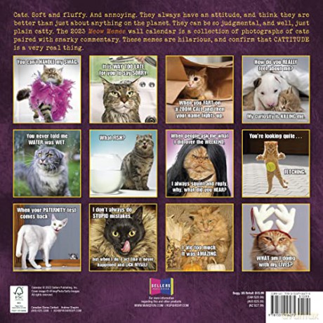 Meow Memes September 2022-December 2023 Calendar (WALL 16 MONTH) [KALENDARZ]