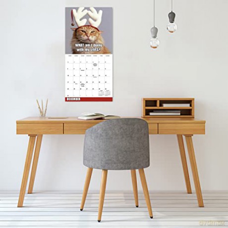 Meow Memes September 2022-December 2023 Calendar (WALL 16 MONTH) [KALENDARZ]