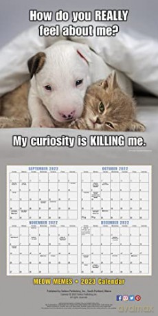 Meow Memes September 2022-December 2023 Calendar (WALL 16 MONTH) [KALENDARZ]