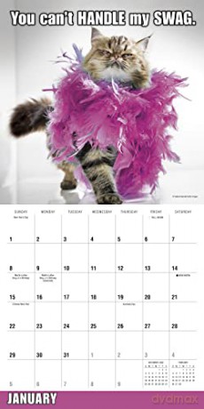 Meow Memes September 2022-December 2023 Calendar (WALL 16 MONTH) [KALENDARZ]