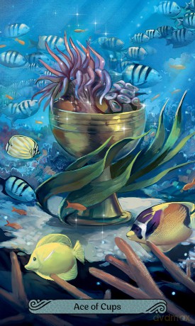 Mermaid Tarot - Leeza Robertson [KSIĄŻKA]