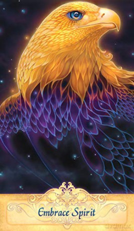 Messenger Oracle - Anniversary Edition: 55 full-colour cards and 76-page guidebook packaged in a hardcover box. - Ravynne Phelan [KSIĄŻKA]