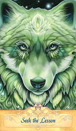 Messenger Oracle - Anniversary Edition: 55 full-colour cards and 76-page guidebook packaged in a hardcover box. - Ravynne Phelan [KSIĄŻKA]
