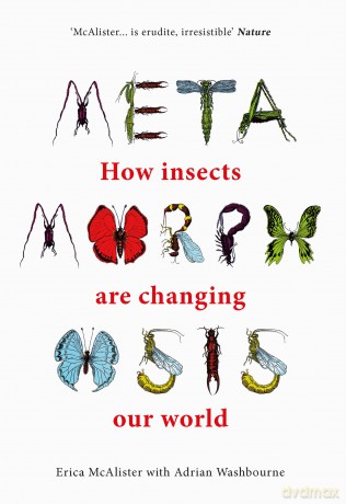 Metamorposis: How insects are changing our world - Erica McAlister [KSIĄŻKA]