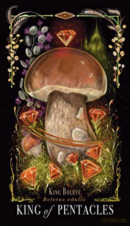 Midnight Magic: A Tarot Deck of Mushrooms - Sara Richard [KSIĄŻKA]
