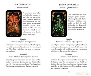 Midnight Magic: A Tarot Deck of Mushrooms - Sara Richard [KSIĄŻKA]