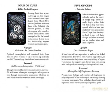 Midnight Magic: A Tarot Deck of Mushrooms - Sara Richard [KSIĄŻKA]