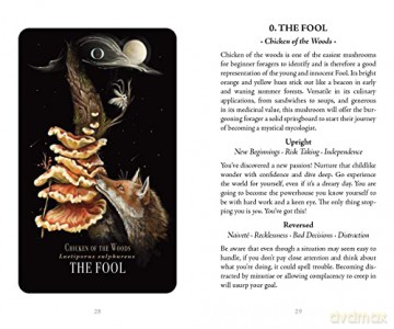 Midnight Magic: A Tarot Deck of Mushrooms - Sara Richard [KSIĄŻKA]