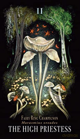 Midnight Magic: A Tarot Deck of Mushrooms - Sara Richard [KSIĄŻKA]