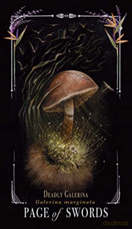 Midnight Magic: A Tarot Deck of Mushrooms - Sara Richard [KSIĄŻKA]
