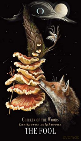 Midnight Magic: A Tarot Deck of Mushrooms - Sara Richard [KSIĄŻKA]