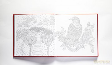 Millie Marotta's Wild Savannah Deluxe Edition: a colouring book adventure: 15 - Millie Marotta [KSIĄŻKA]