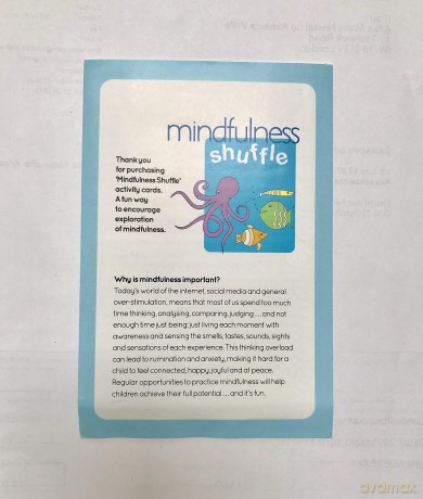 Mindfulness Shuffle - Anna Wille [KSIĄŻKA]