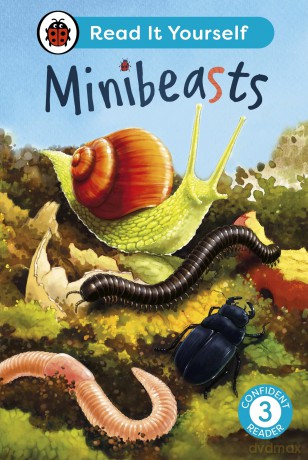 Minibeasts: Read It Yourself - Level 3 Confident Reader - Ladybird [KSIĄŻKA]