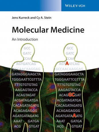 Molecular Medicine: An Introduction - Jens Kurreck [KSIĄŻKA]
