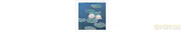 Monet Mini FlipTop Notecard Box: With Magnetic Closure: Museum Quality Greeting Cards for All Occasions (Mini FlipTop Notecards) - Claude Monet [KSIĄŻKA]