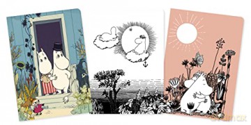 Moomin Set of 3 Standard Notebooks (Standard Notebook Collection) - Flame Tree Studio [KSIĄŻKA]