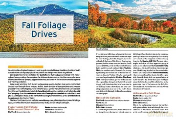 Moon New York State (Ninth Edition): Getaway Ideas, Road Trips, Local Spots (Moon U.S. Travel Guide) - Julie Collazo [KSIĄŻKA]