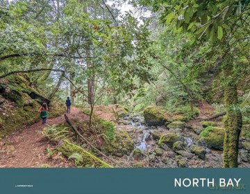 Moon Northern California Hiking (First Edition): Best Hikes Plus Beer, Bites, and Campgrounds Nearby (Moon Hiking Travel Guide) - Ann Brown [KSIĄŻKA]