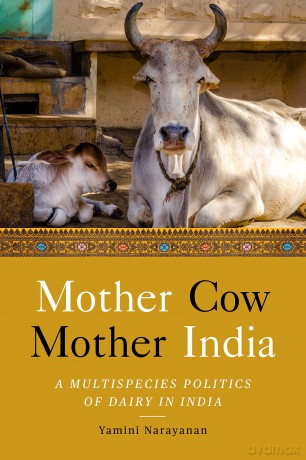 Mother Cow, Mother India: A Multispecies Politics of Dairy in India (South Asia in Motion) - Yamini Narayanan [KSIĄŻKA]