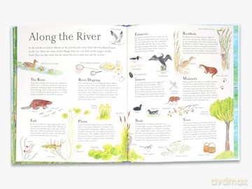 Mouse on the River: A Journey Through Nature (Mouse's Adventures) - Alice Melvin [KSIĄŻKA]
