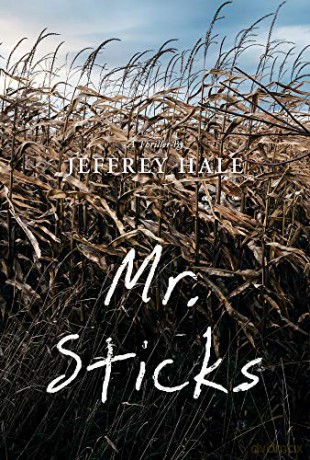 Mr. Sticks - Jeffrey Hale [KSIĄŻKA]