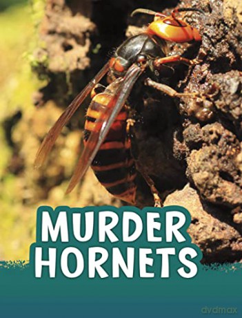 Murder Hornets (Animals) - Jaclyn Jaycox [KSIĄŻKA]