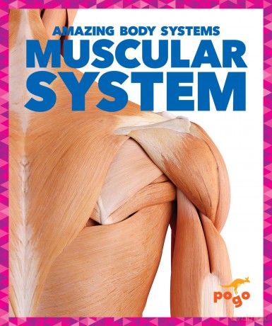 Muscular System (Amazing Body Systems) - Karen Latchana Kenney [KSIĄŻKA]