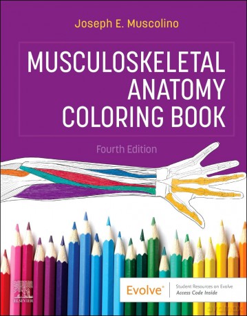Musculoskeletal Anatomy Coloring Book - Emma Denny [KSIĄŻKA]