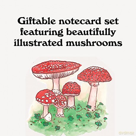 Mushroom Notes: 20 Notecards and Envelopes - Megan Lynn Kott [KALENDARZ]