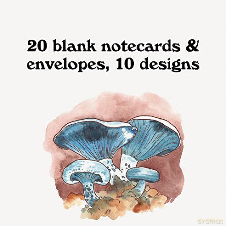 Mushroom Notes: 20 Notecards and Envelopes - Megan Lynn Kott [KALENDARZ]