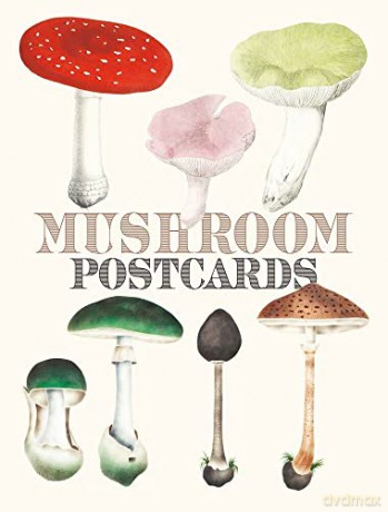 Mushroom Postcards - Pie International [KSIĄŻKA]