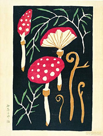 Mushroom Postcards - Pie International [KSIĄŻKA]