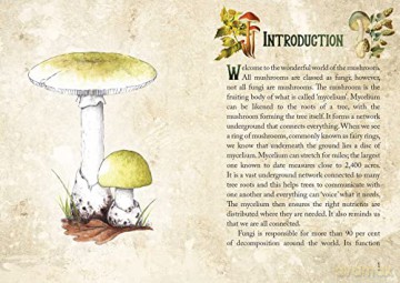 Mushroom Spirit Oracle: (36 Gilded Cards and 112-Page Full-Color Guidebook) - Nicola McIntosh [KSIĄŻKA]