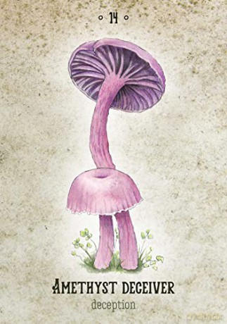 Mushroom Spirit Oracle: (36 Gilded Cards and 112-Page Full-Color Guidebook) - Nicola McIntosh [KSIĄŻKA]