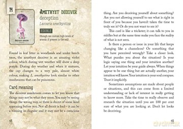 Mushroom Spirit Oracle: (36 Gilded Cards and 112-Page Full-Color Guidebook) - Nicola McIntosh [KSIĄŻKA]