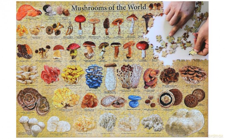 Mushrooms of the World - 1000 Piece Jigsaw Puzzle: For Adults and Families - Finished Puzzle Size 29 X 20 Inch (74 X 51 CM); A3 Sized Poster [KSIĄŻKA]