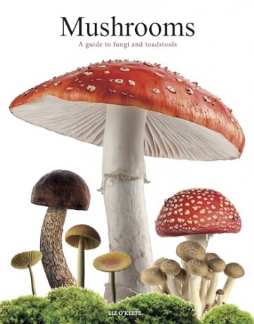 Mushrooms: A guide to fungi and toadstools - Liz O'Keefe [KSIĄŻKA]