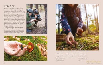 Mushrooms: A guide to fungi and toadstools - Liz O'Keefe [KSIĄŻKA]