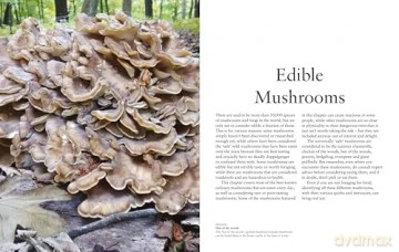 Mushrooms: A guide to fungi and toadstools - Liz O'Keefe [KSIĄŻKA]