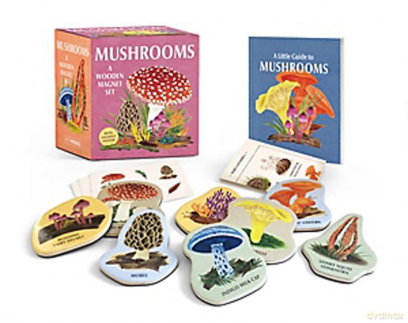 Mushrooms: A Wooden Magnet Set (This Is a Book for People Who Love) - Meg Madden [KSIĄŻKA]