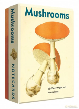 Mushrooms: An Abbeville Notecard Set (Detailed Notes) - Abbeville Press [KSIĄŻKA]