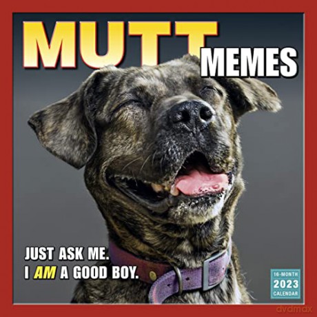 Mutt Memes 2023 16-Month (WALL 16 MONTH) [KALENDARZ]