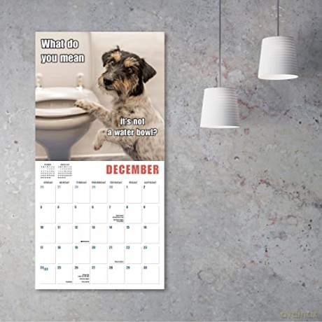 Mutt Memes 2023 16-Month (WALL 16 MONTH) [KALENDARZ]