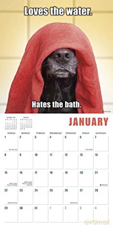 Mutt Memes 2023 16-Month (WALL 16 MONTH) [KALENDARZ]