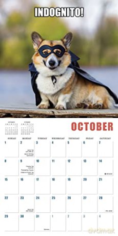 Mutt Memes 2023 16-Month (WALL 16 MONTH) [KALENDARZ]
